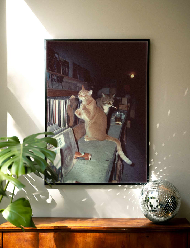 Feral After Dark Meow Mixes wall - art - picture - poster