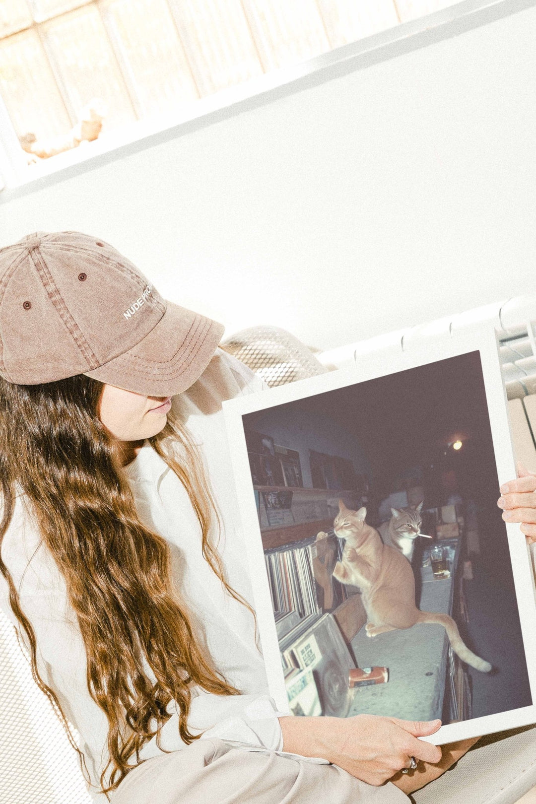 Feral After Dark Meow Mixes wall - art - picture - poster