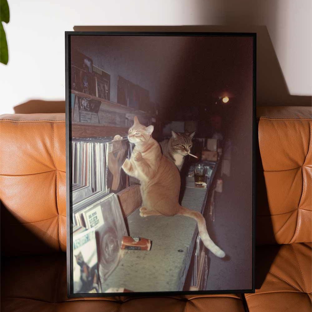 Feral After Dark Meow Mixes wall - art - picture - poster