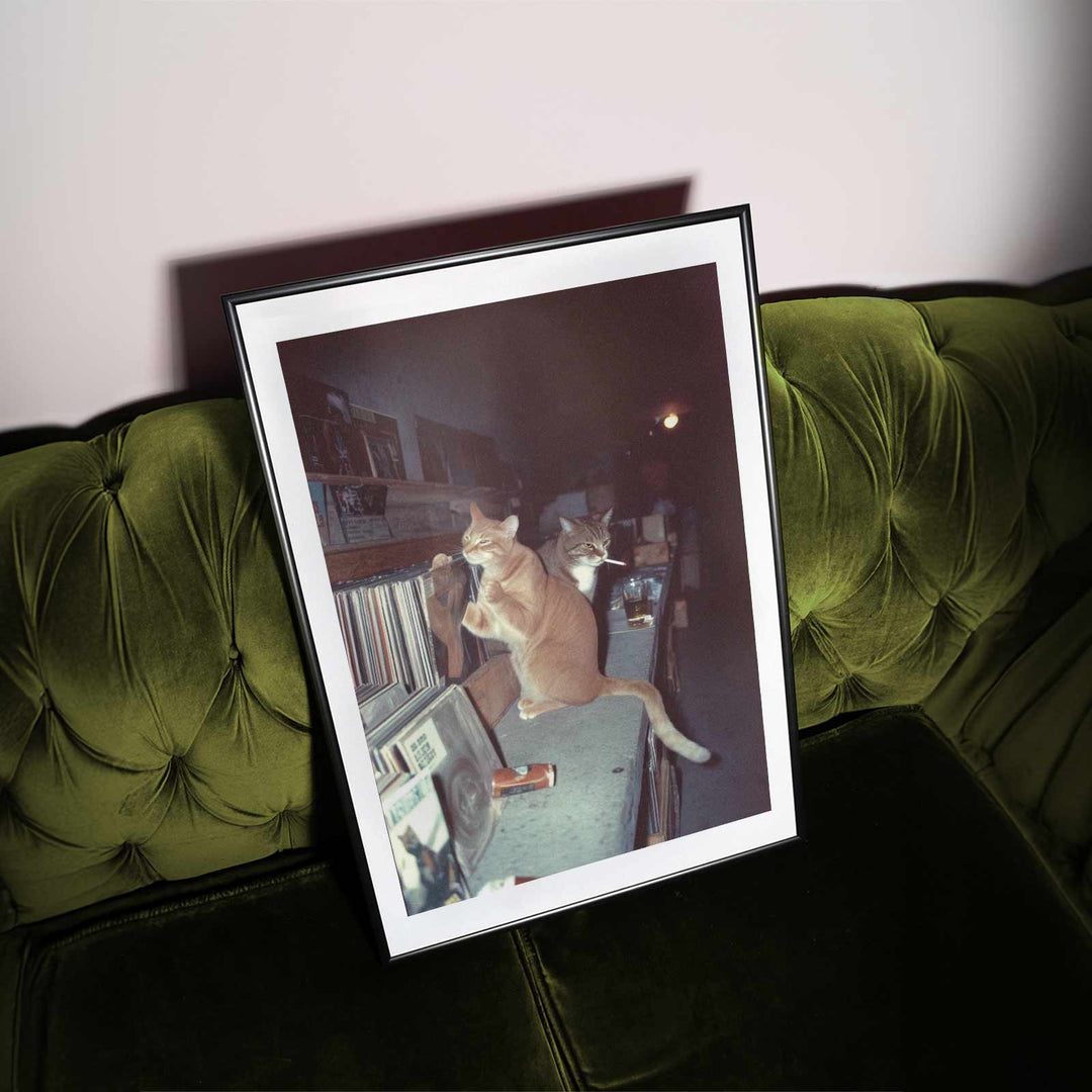 Feral After Dark Meow Mixes wall - art - picture - poster