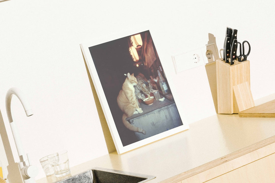 Feral After Dark Ramen Rowdies wall - art - picture - poster