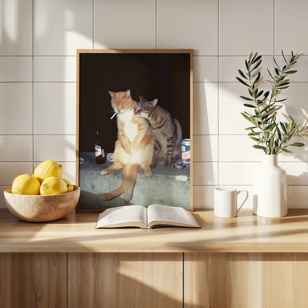 Feral After Dark Whisky Whiskers wall - art - picture - poster