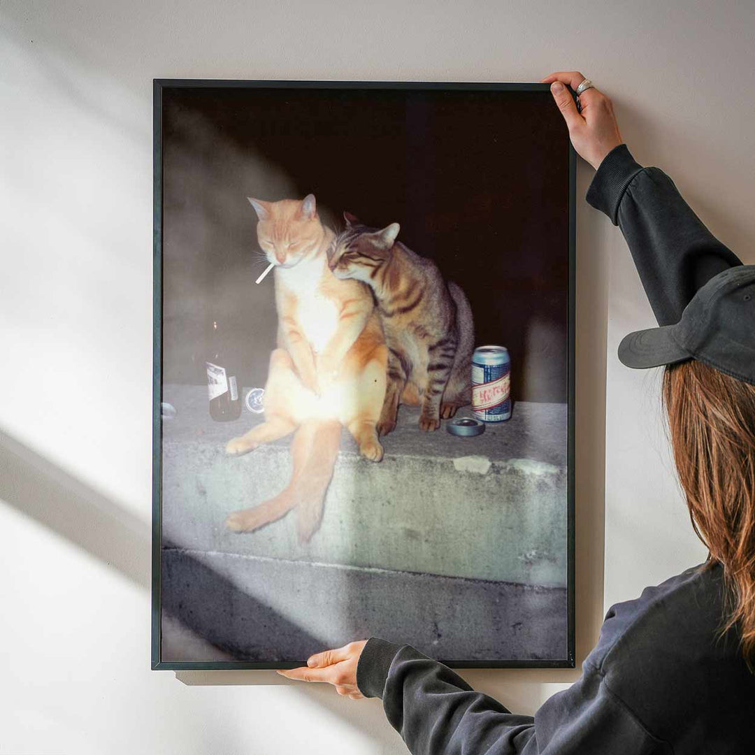 Feral After Dark Whisky Whiskers wall - art - picture - poster