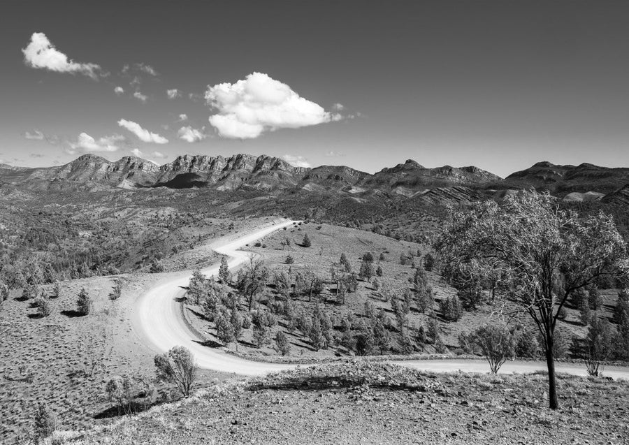 Flinders Ranges - Razorback by Steven Scott
