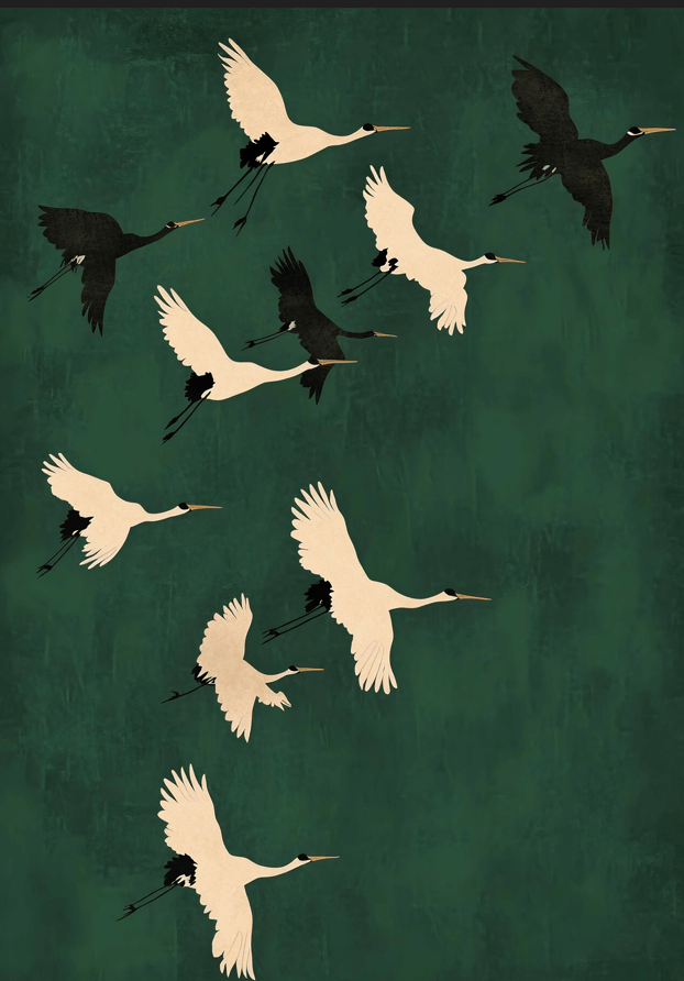 Flock to the Skies,frame