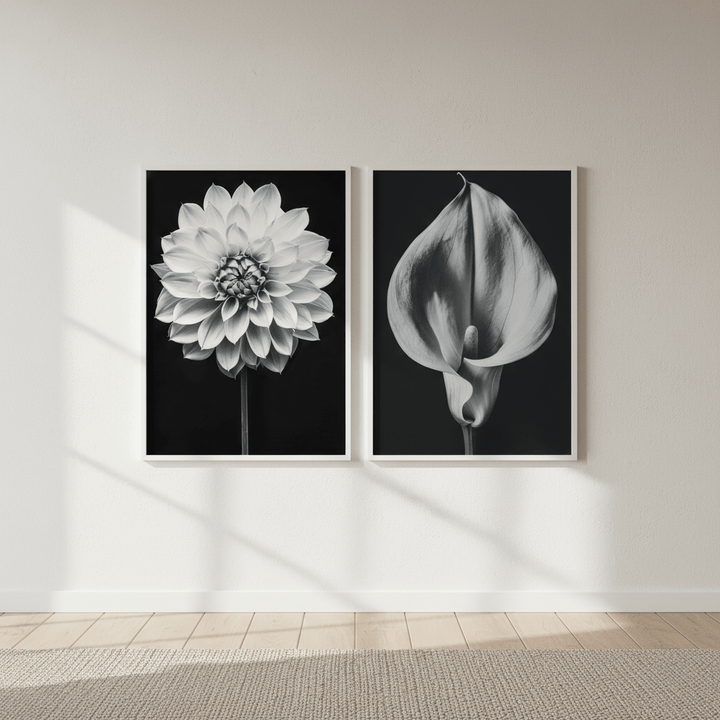 Floral Duo by Peter Attard wall - art - picture - poster