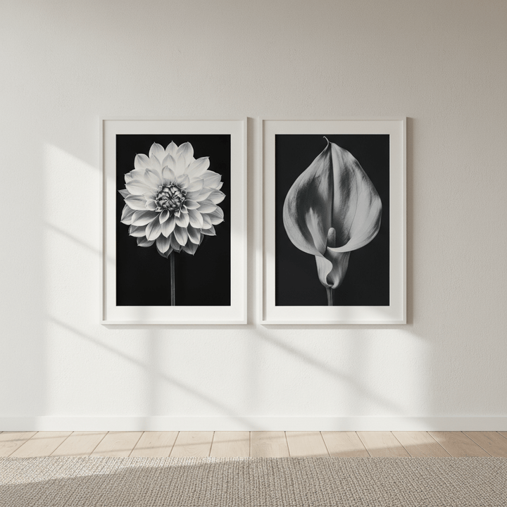 Floral Duo by Peter Attard wall - art - picture - poster