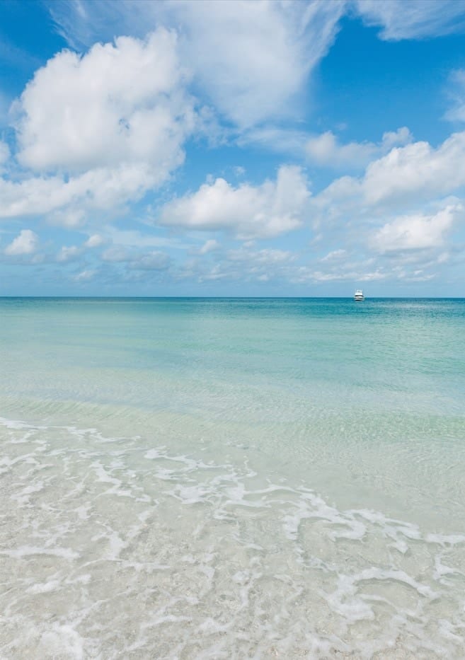Florida Ocean View VII  By Bethany Young