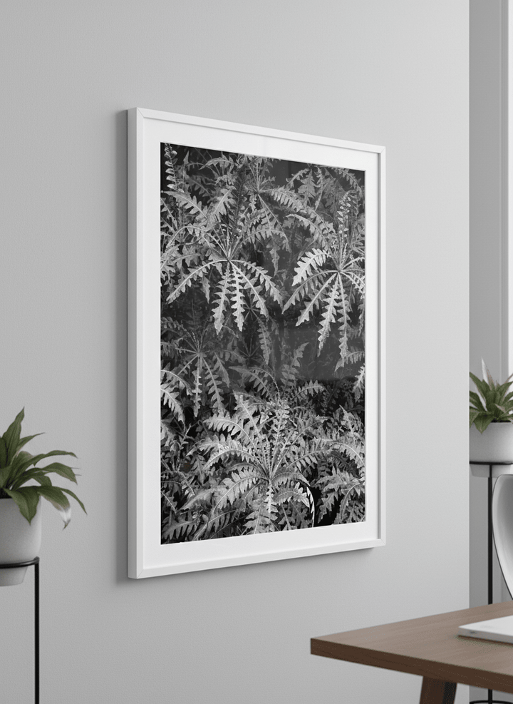 Contemporary wall art featured in a bright modern office workspace