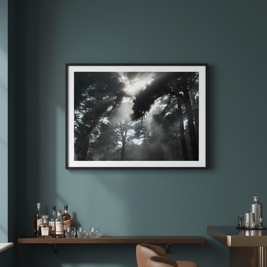 Forest light by Robin Skjoldborg wall - art - picture - poster