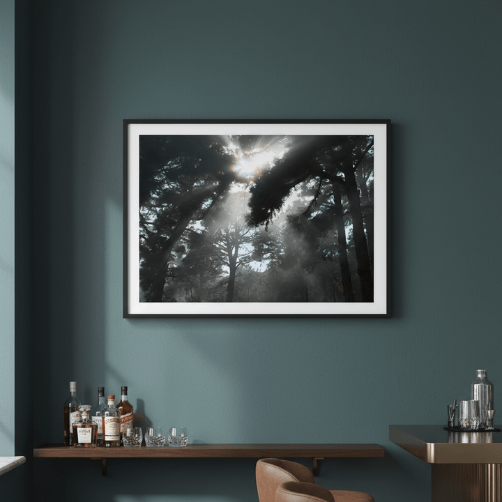 Forest light by Robin Skjoldborg wall - art - picture - poster