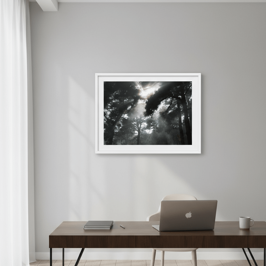 Forest light by Robin Skjoldborg wall - art - picture - poster