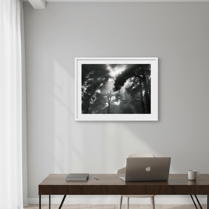 Forest light by Robin Skjoldborg wall - art - picture - poster