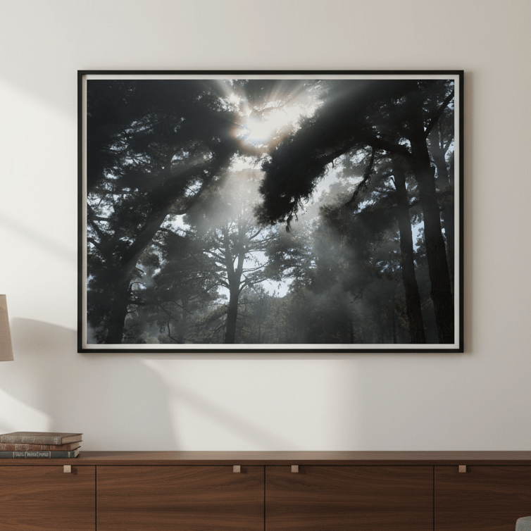 Forest light by Robin Skjoldborg wall - art - picture - poster
