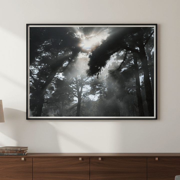 Forest light by Robin Skjoldborg wall - art - picture - poster