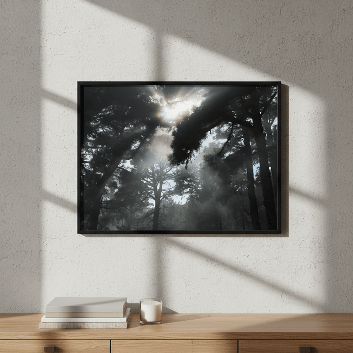 Forest light by Robin Skjoldborg wall - art - picture - poster