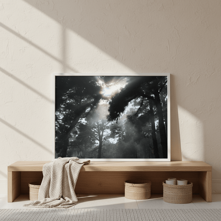 Forest light by Robin Skjoldborg wall - art - picture - poster