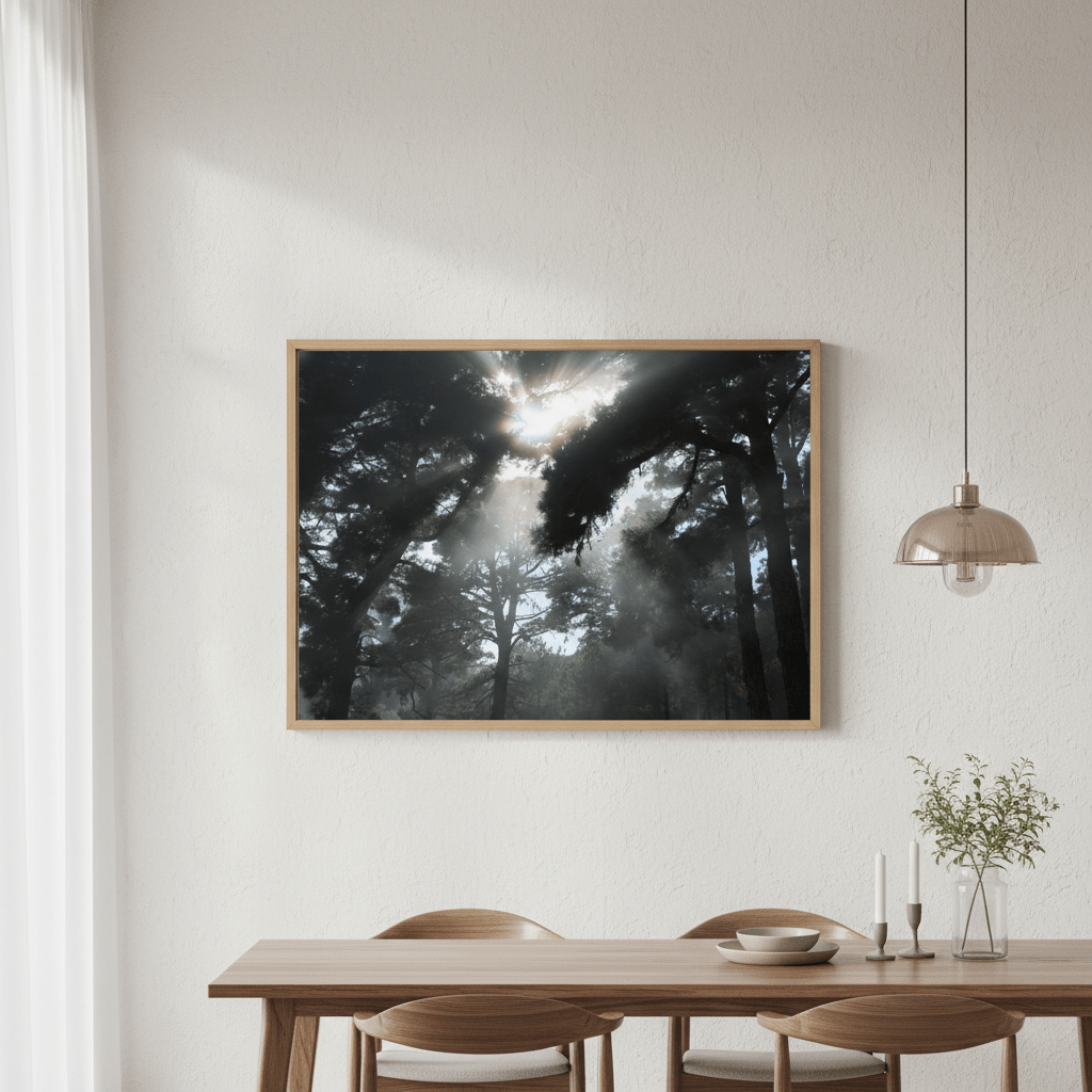 Forest light by Robin Skjoldborg wall - art - picture - poster