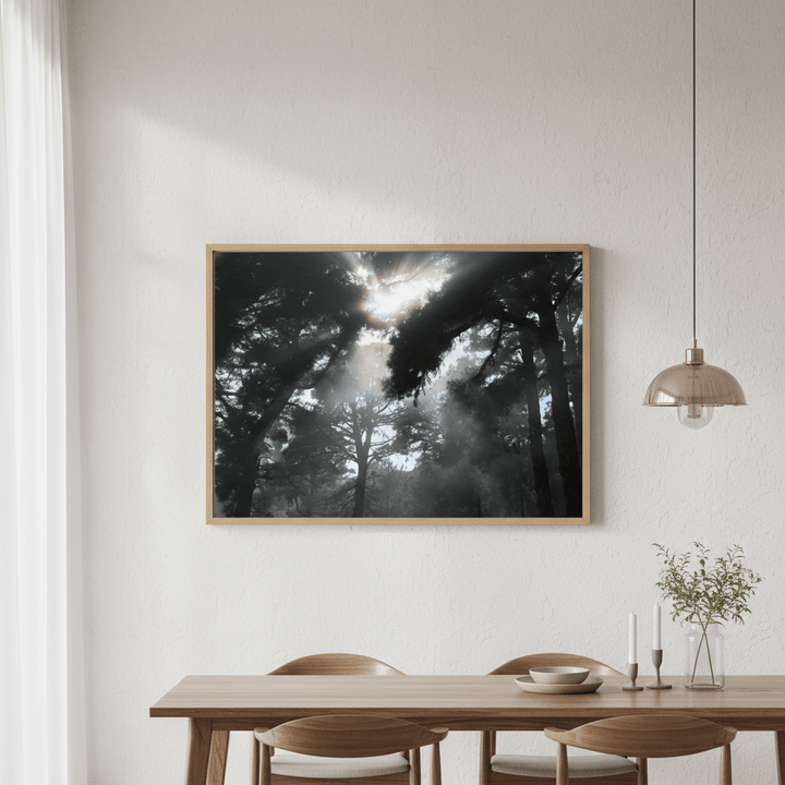 Forest light by Robin Skjoldborg wall - art - picture - poster