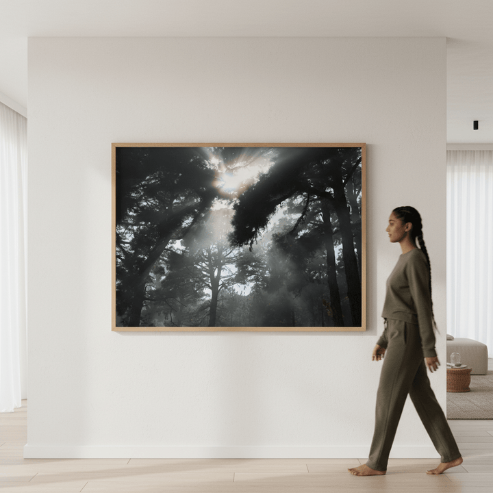 Forest light by Robin Skjoldborg wall - art - picture - poster