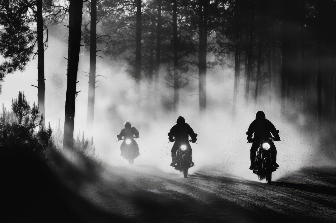 Three motorcyclists on a foggy forest road frame