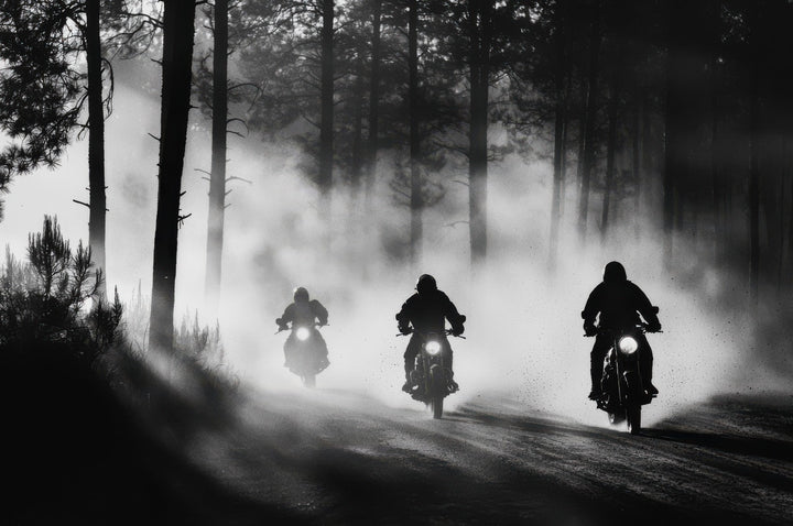Three motorcyclists on a foggy forest road frame