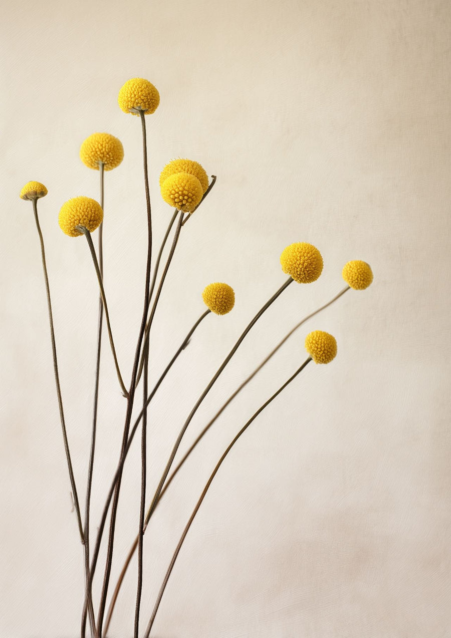 Golden Billy Buttons