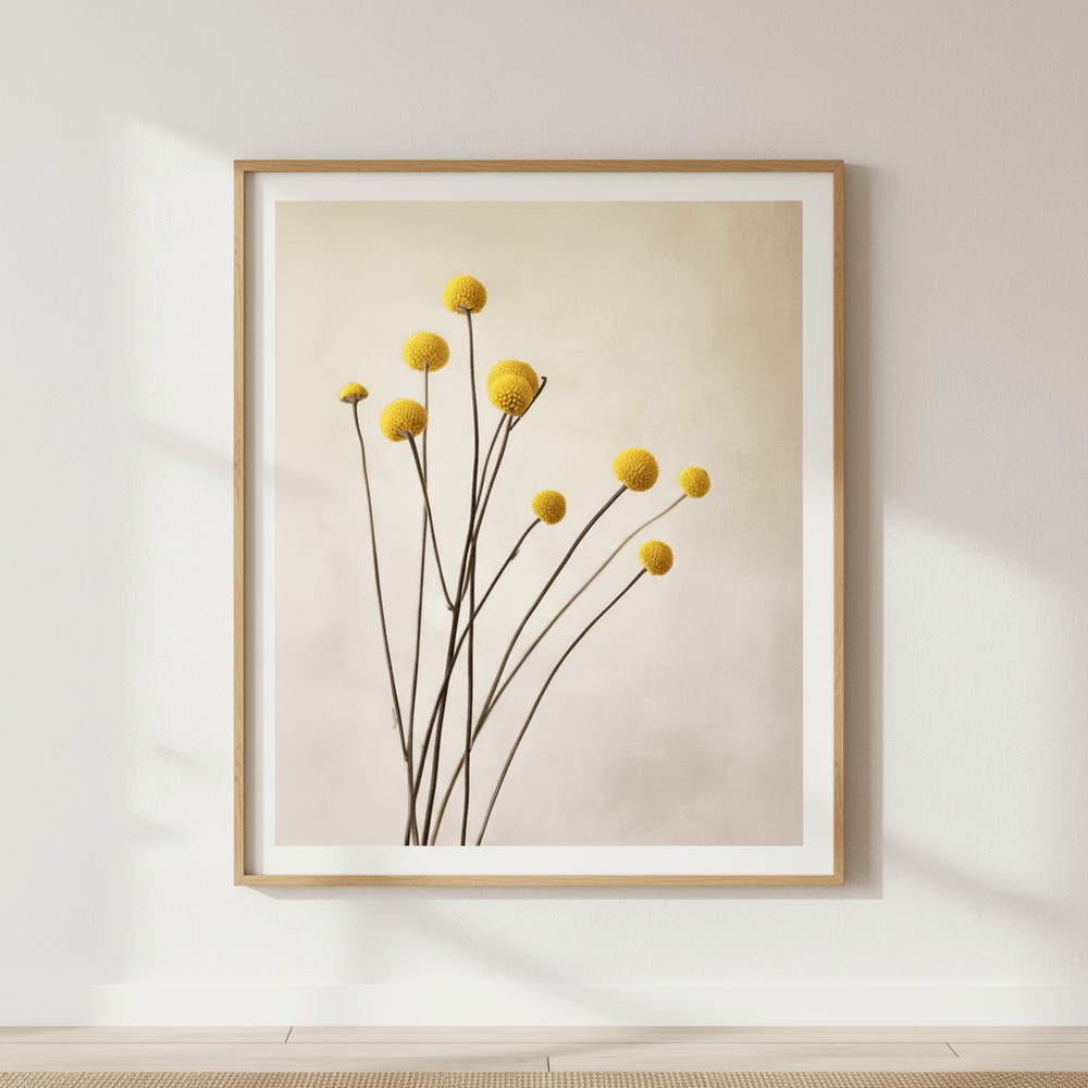 Golden Billy Buttons wall - art - picture - poster