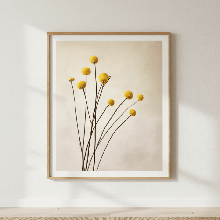 Golden Billy Buttons wall - art - picture - poster