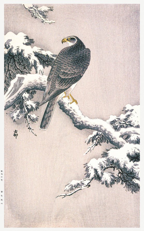 Goshawk on Snow-covered Pine Bough by Ohara Koson