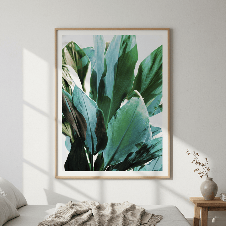 Green Leafy Plant by Hope Bainbridge wall - art - picture - poster