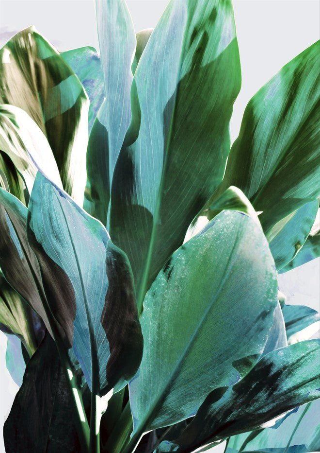 Green Leafy Plant by Hope Bainbridge