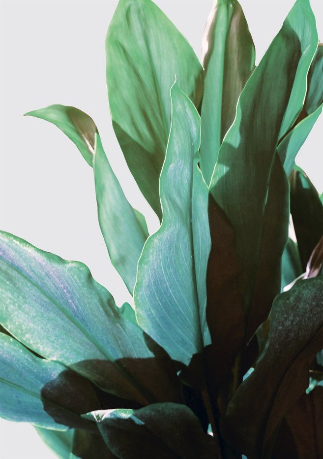 Green Leaves by Hope Bainbridge