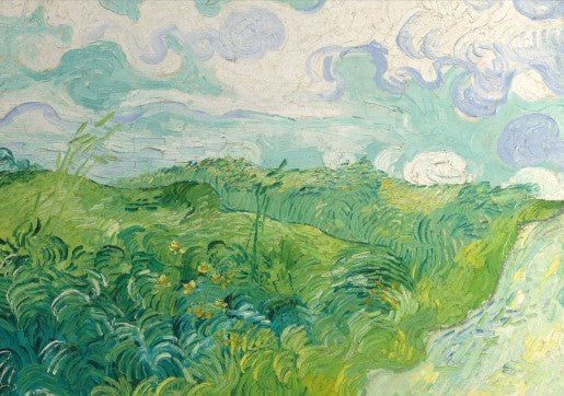 Green Wheat Fields, Auvers Wall Art by Vincent van Gogh
