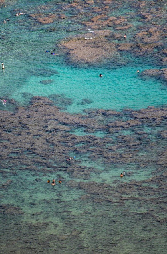 Clear blue water with people swimming near a rocky underwater landscape framed