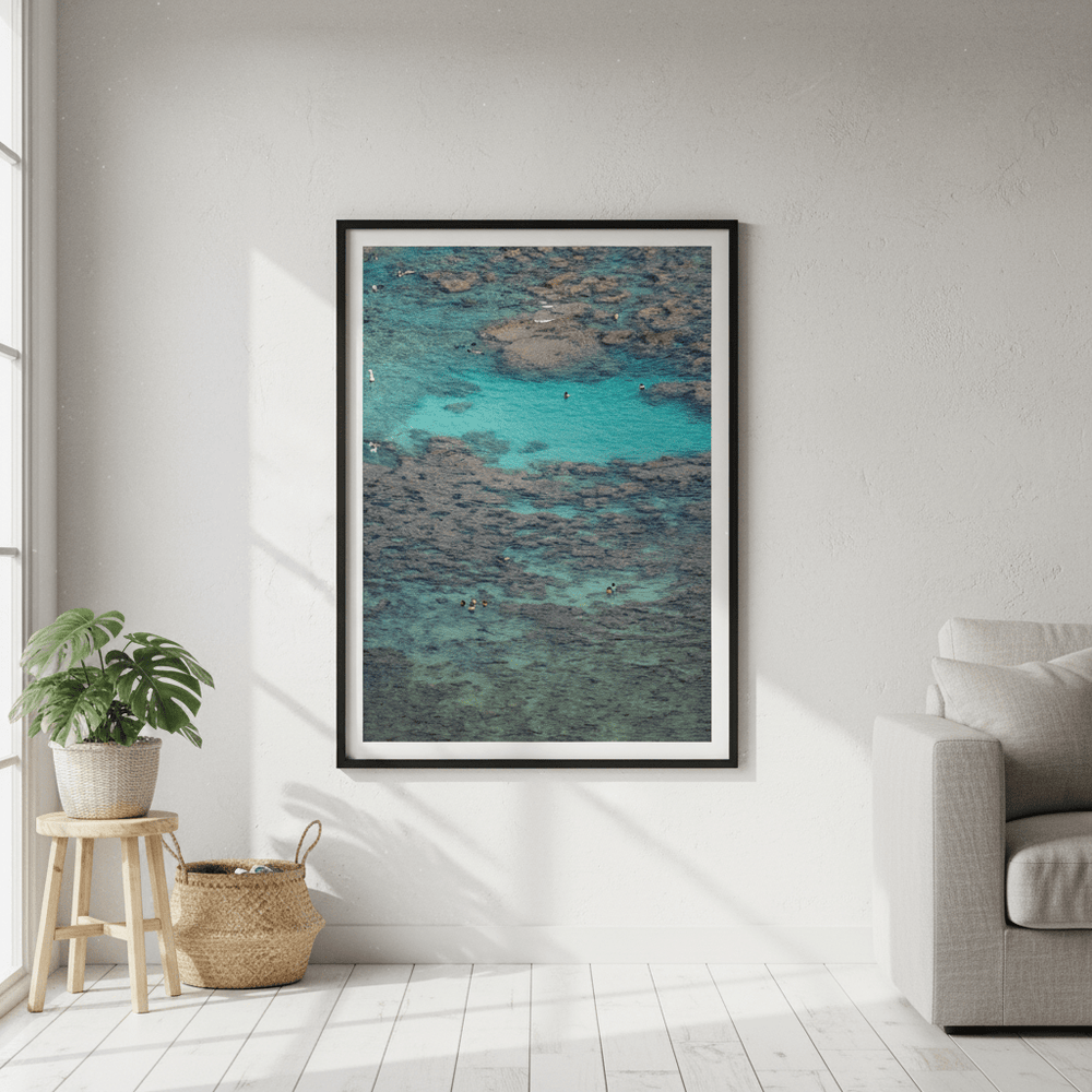 Hanauma by Colton Jones wall - art - picture - poster