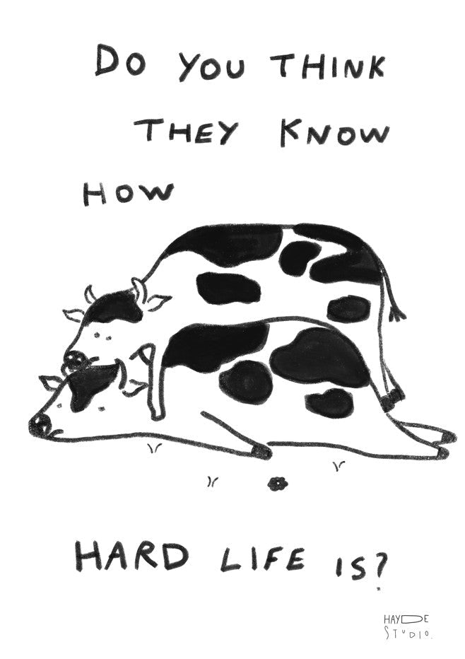 Hard Life by Hayde Nizard