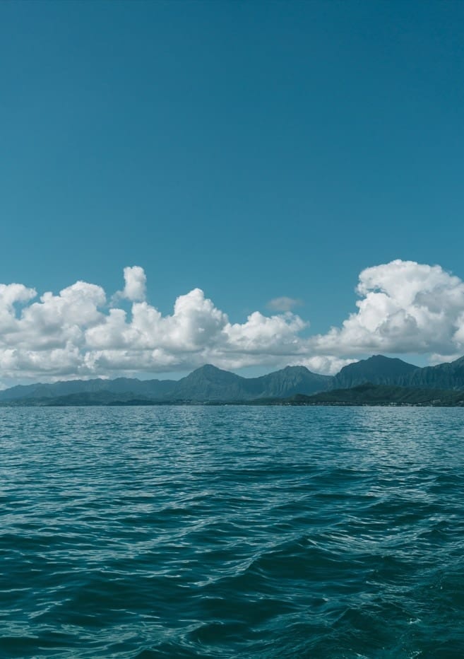 Hawaiian View  By Bethany Young