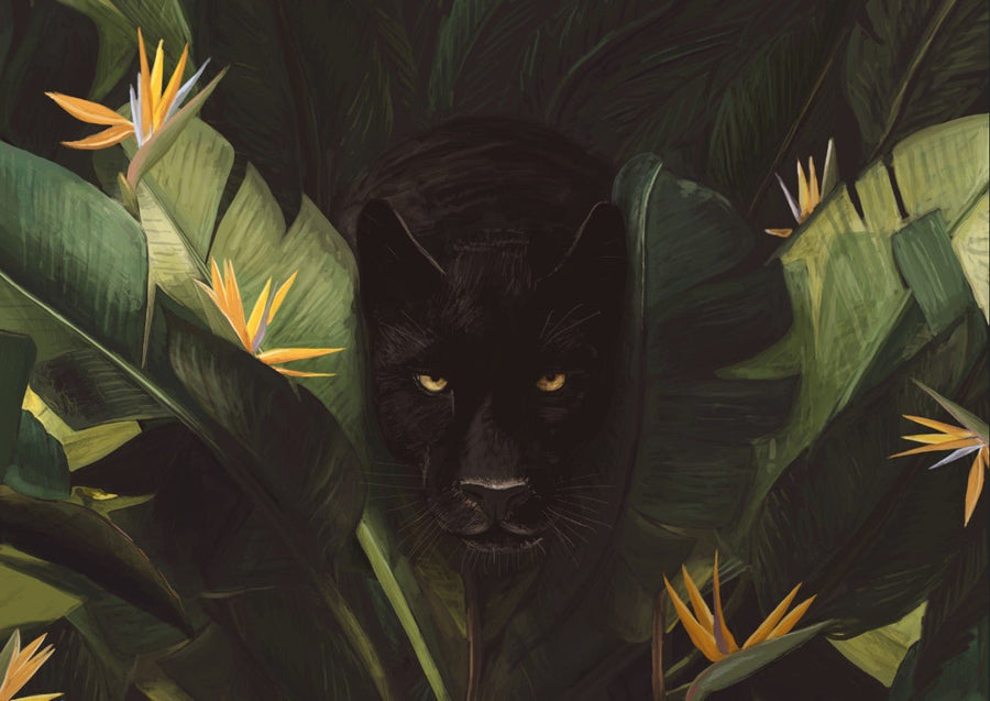 Hello Panther by Florent Bodart