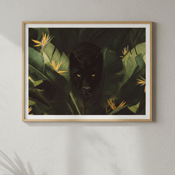 Hello Panther by Florent Bodart wall - art - picture - poster