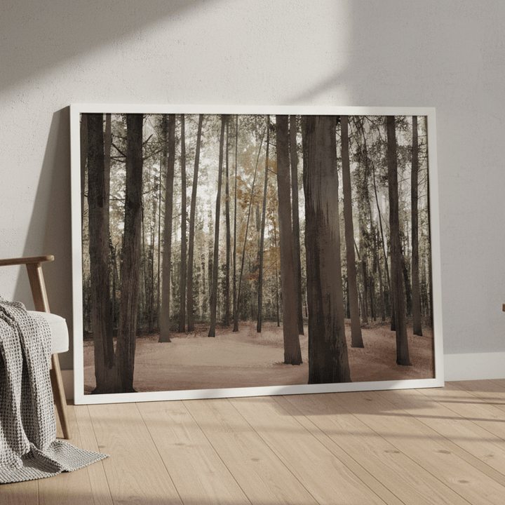 Hollybank Forest Tasmania by Deer Muskeeter wall - art - picture - poster