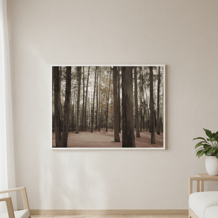Hollybank Forest Tasmania by Deer Muskeeter wall - art - picture - poster