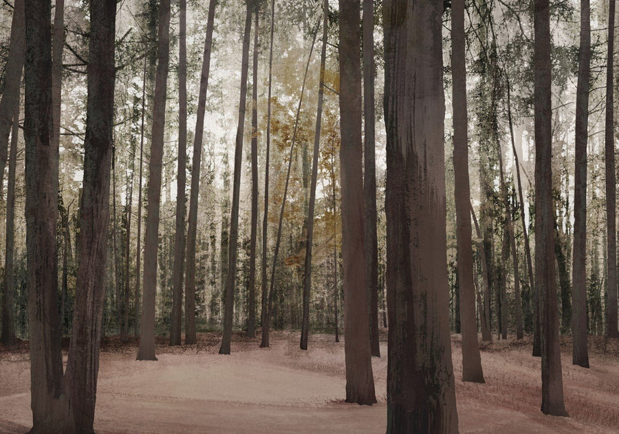 Hollybank Forest Tasmania by Dear Muskeeter