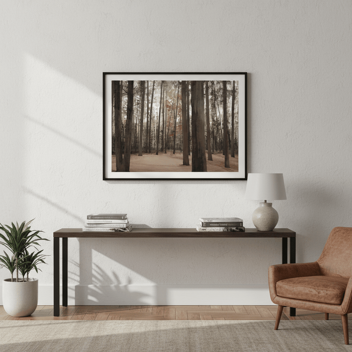 Hollybank Forest Tasmania by Deer Muskeeter wall - art - picture - poster