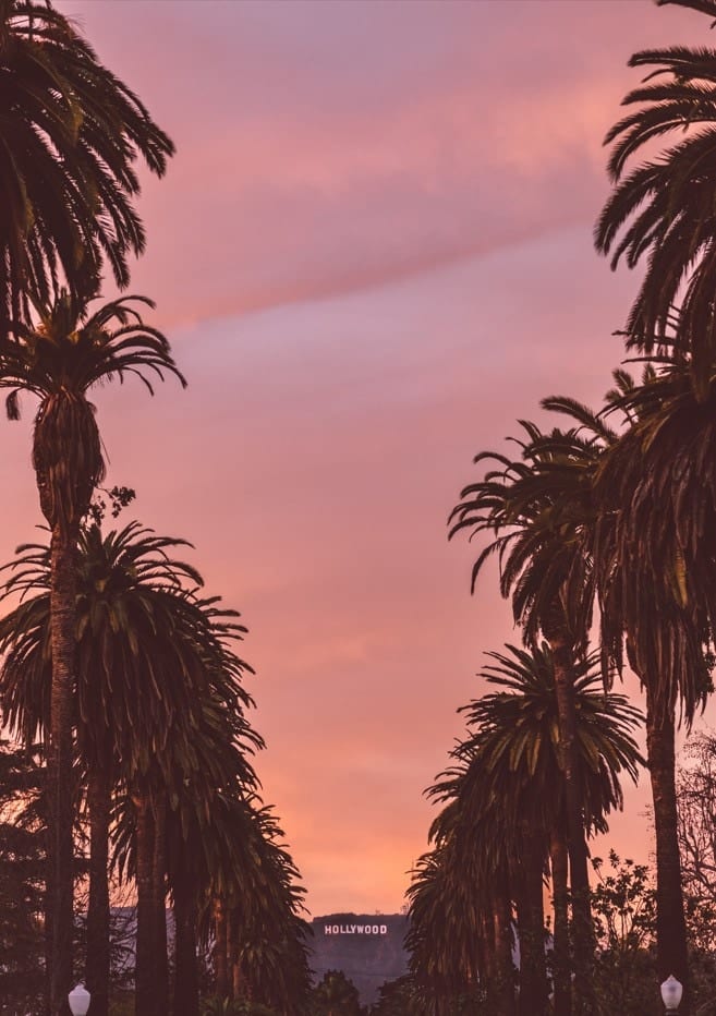 Hollywood  By Bethany Young