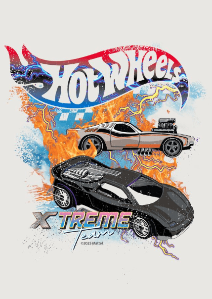 Hot Wheels Xtreme Teams wall - art - picture - poster - frame