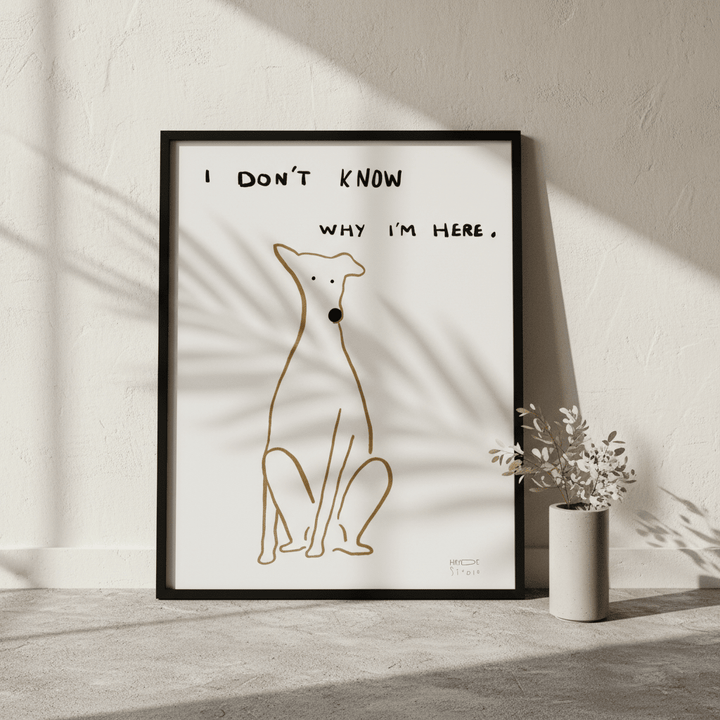 I Don't Know Why I'm Here Dog by Hayde Nizard wall - art - picture - poster