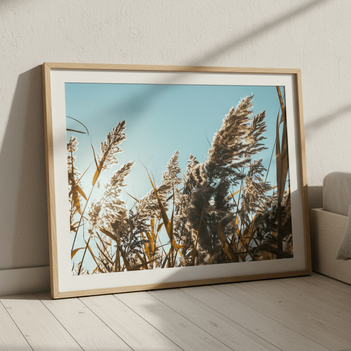 Illuminated Reeds by Aaron Borchardt wall - art - picture - poster