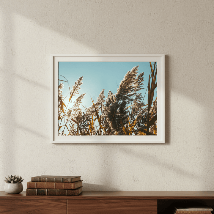 Illuminated Reeds by Aaron Borchardt wall - art - picture - poster