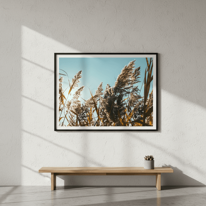 Illuminated Reeds by Aaron Borchardt wall - art - picture - poster